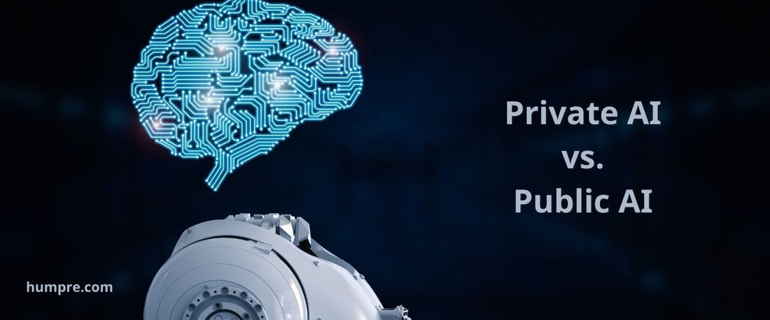 Private AI vs. Public AI